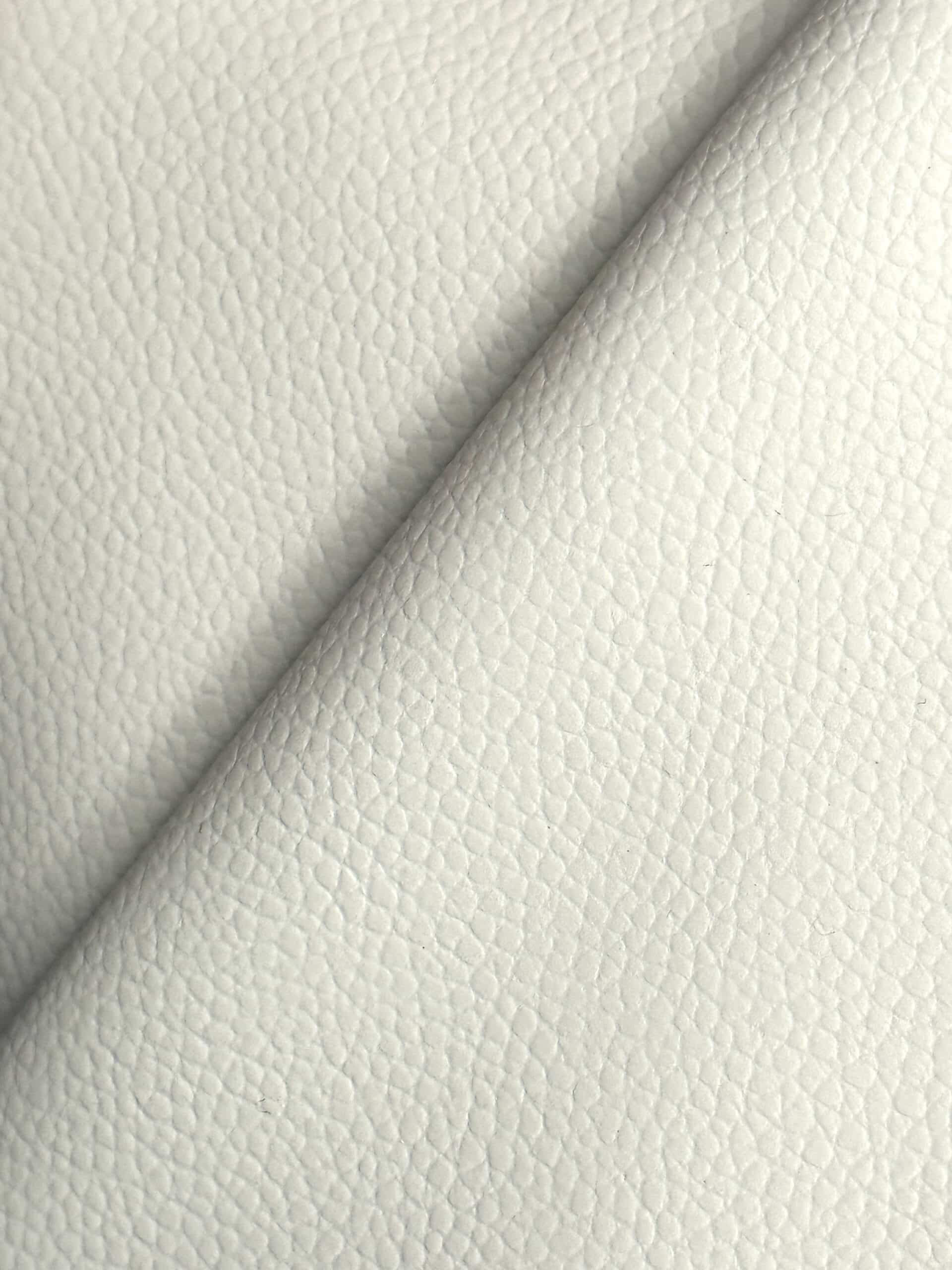 Antarctica