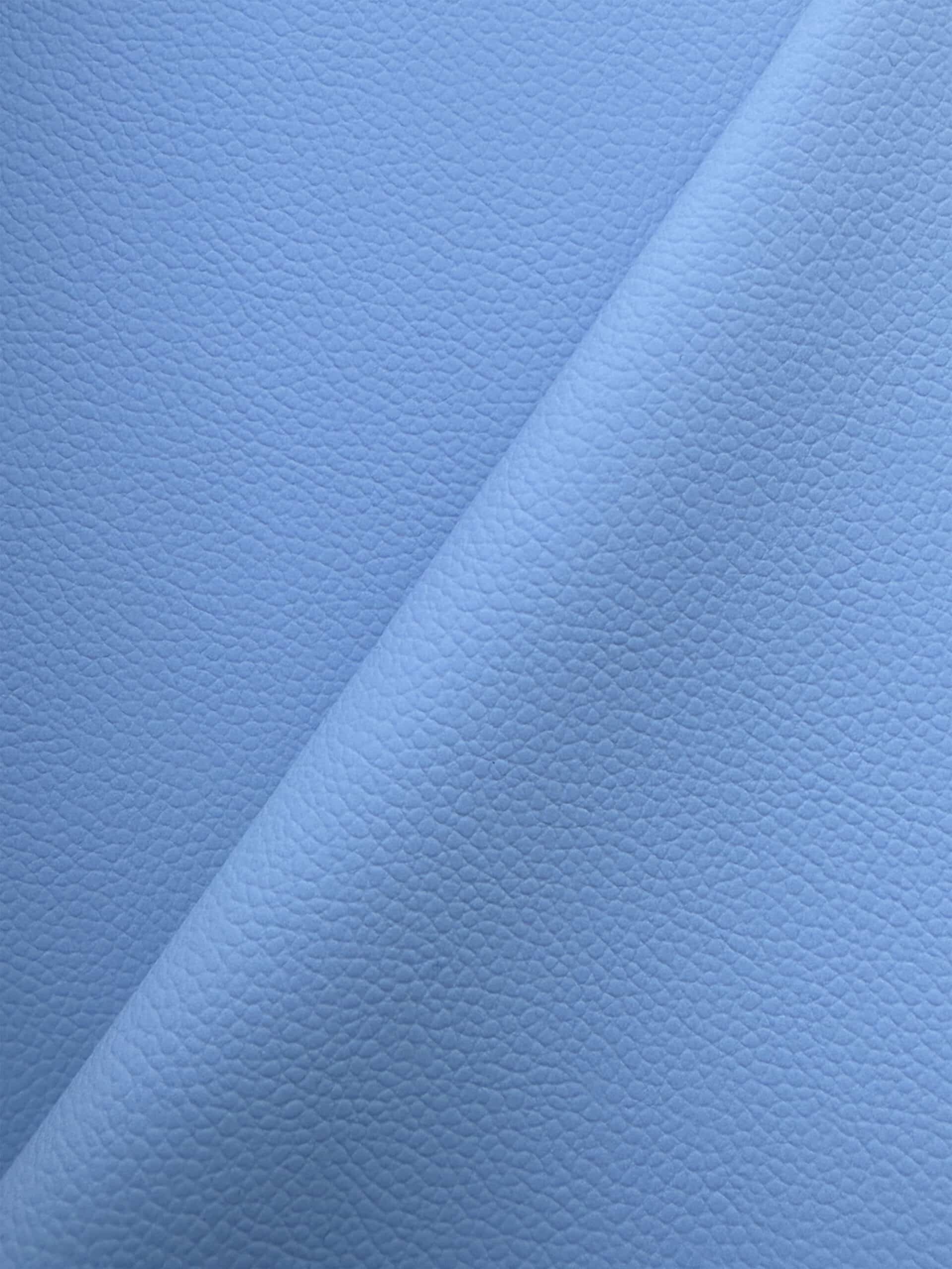 Cyaneus