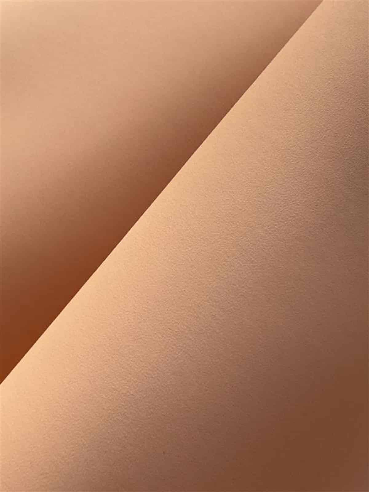 Dusty Coral